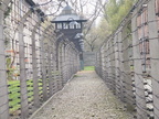 Oláh Viktória Auschwitz